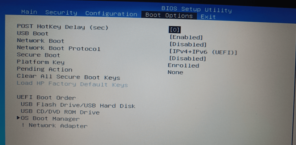 BIOS- Option - HP 240 G8