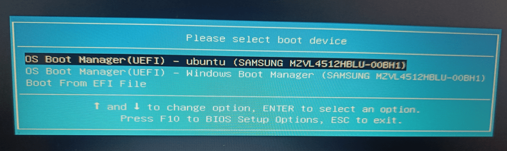 USB Stick Is Not Being Recognized as a Bootable Device-HP 240 G8 = Boot Menu