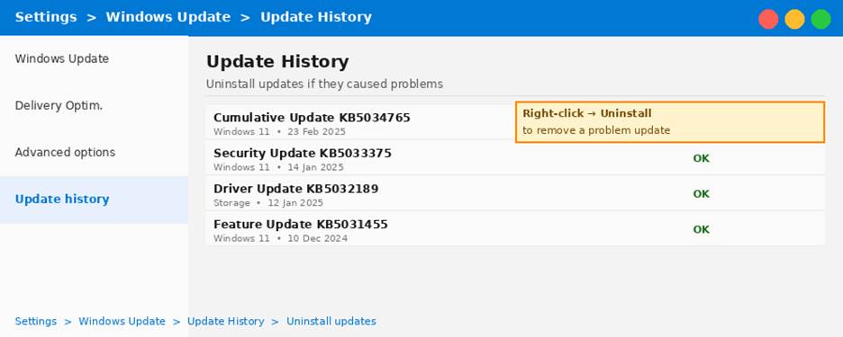 Roll Back the Problematic Windows 11 Update